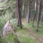 <b>From a bimbler to a runner</b>
