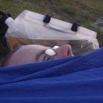 <b>Bivvy on Ysgafell Wen</b>