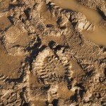 mud