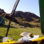wildcamp