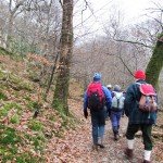 <b>Llanferres to Maeshafn Walk</b>