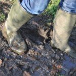 <b>Le Chameau All Tracks Wellies</b>