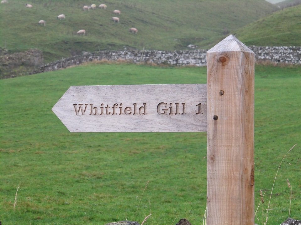 wensleydale_65_960