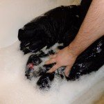 <b>How to Clean and Reproof a Down Sleeping bag</b>