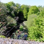 <b>Lon Eifion and Lon Gwyrfai</b>
