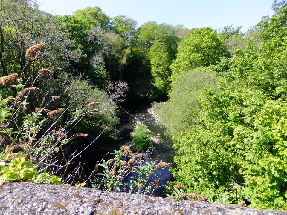 eifion_14_960