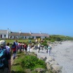 moelfre-walkers moelfre-walkers
