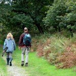 <b>Rossett Walk 5</b>