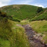 <b>Sallow Coppice Walk</b>