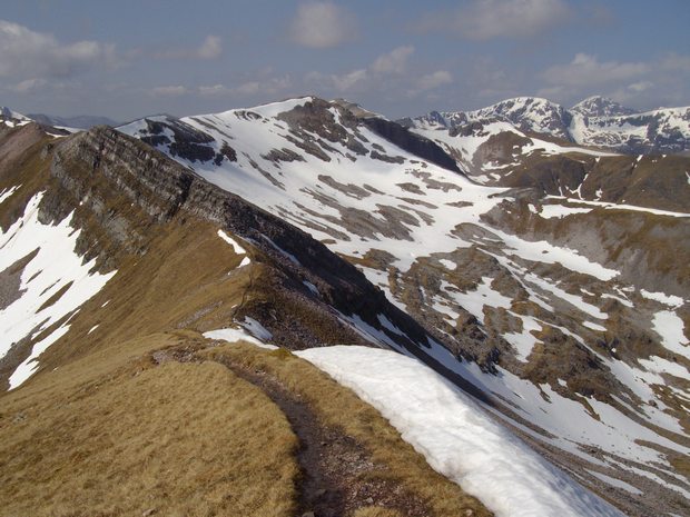 Grey_corries_620_24