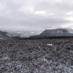 mmawr_eira_04_960 mmawr_eira_04_960