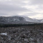 mmawr_eira_05_960 mmawr_eira_05_960