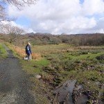 nantmor_10_960 nantmor_10_960