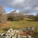 nantmor_26_960 nantmor_26_960