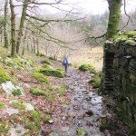 nantmor_31_960 nantmor_31_960