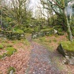 nantmor_40_960 nantmor_40_960