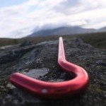 <b>Alpkit Candy Canes Tent Pegs Review</b>