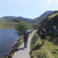 Daear Ddu Scramble
