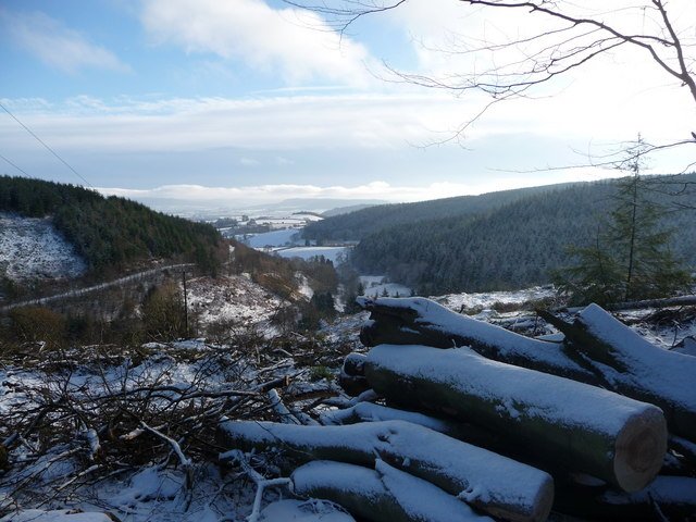 darkydale