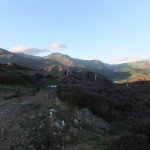 Moel y Dyniewyd 018_960