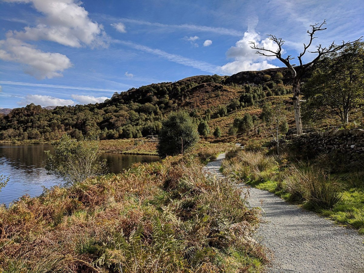 Best Walks from the Welsh Highland Railway