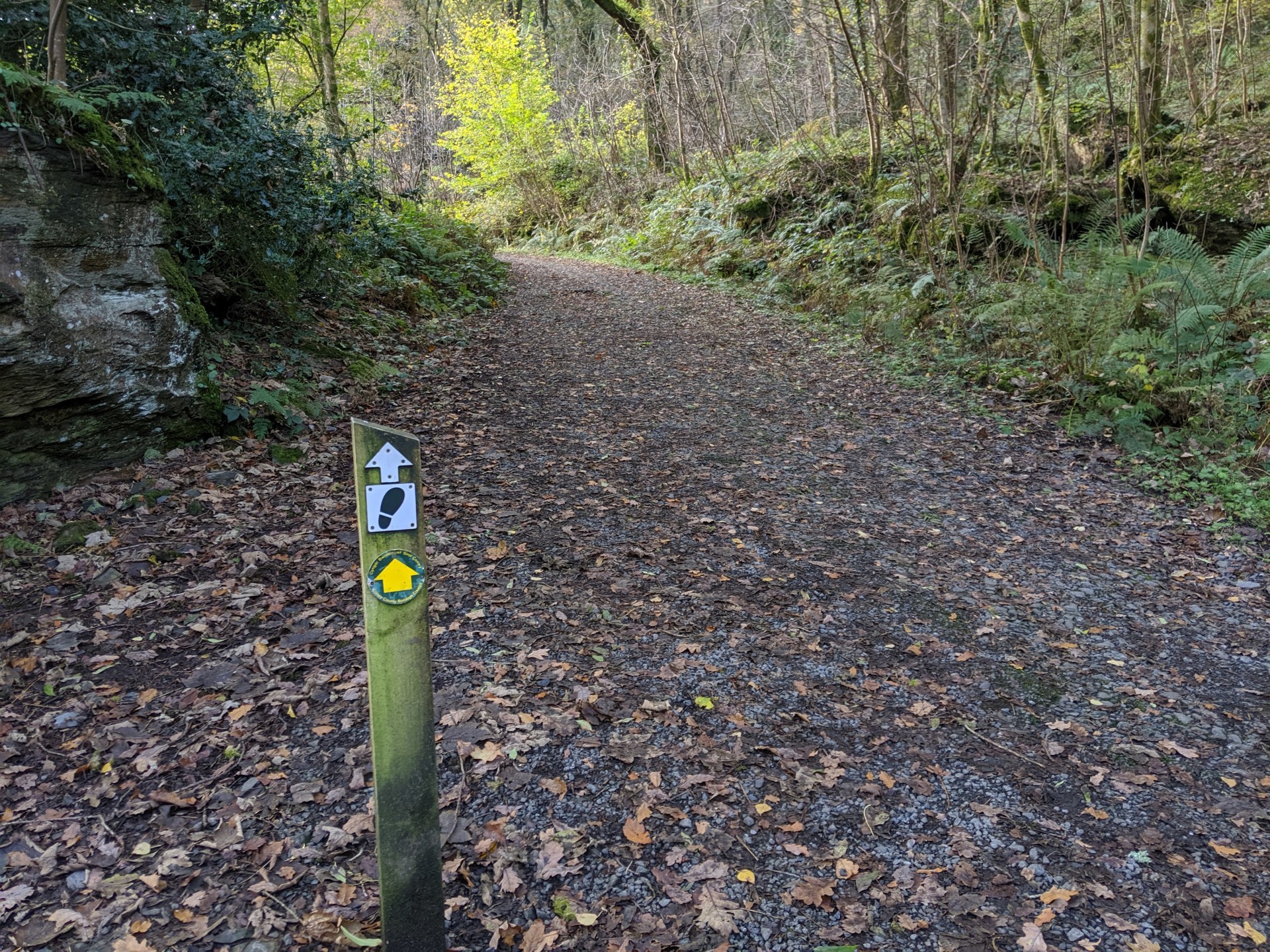 Llwybr Llyn Elsi Trail Walk from Betws-y-coed
