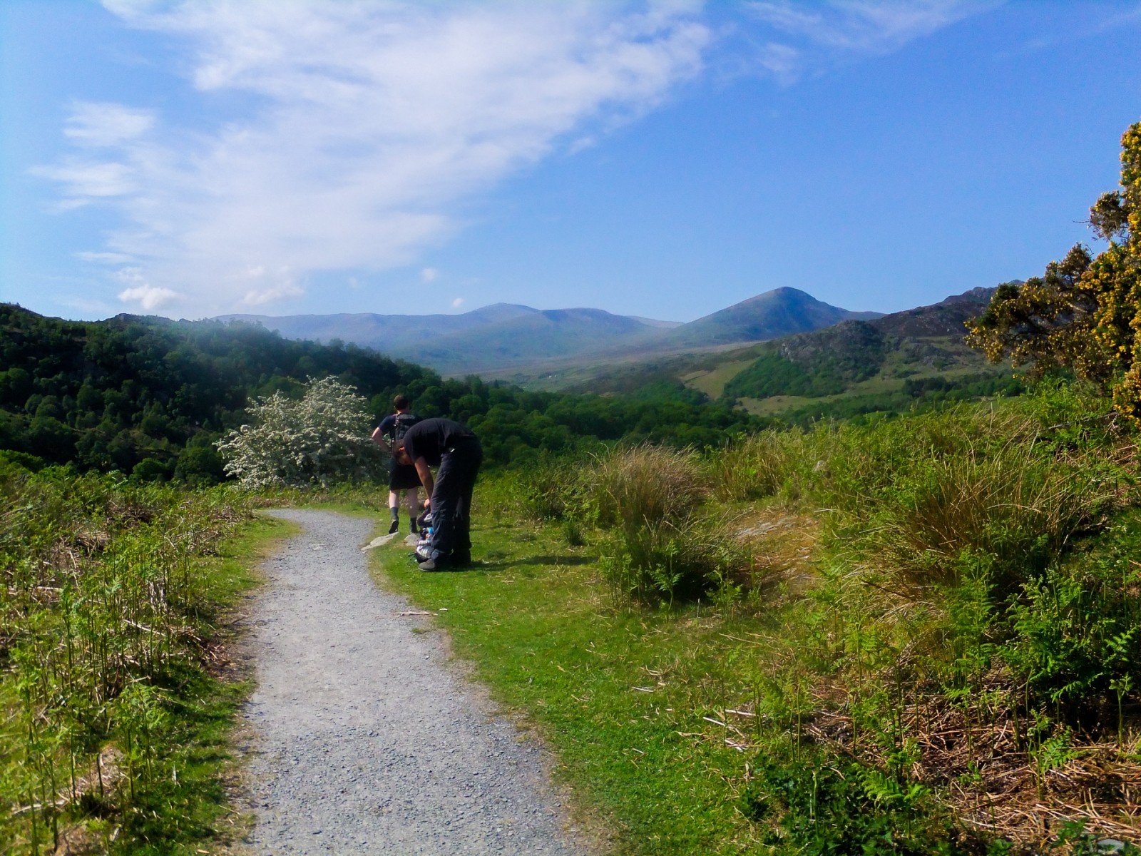 Walk up Moel Siabod from Pont Cyfyng