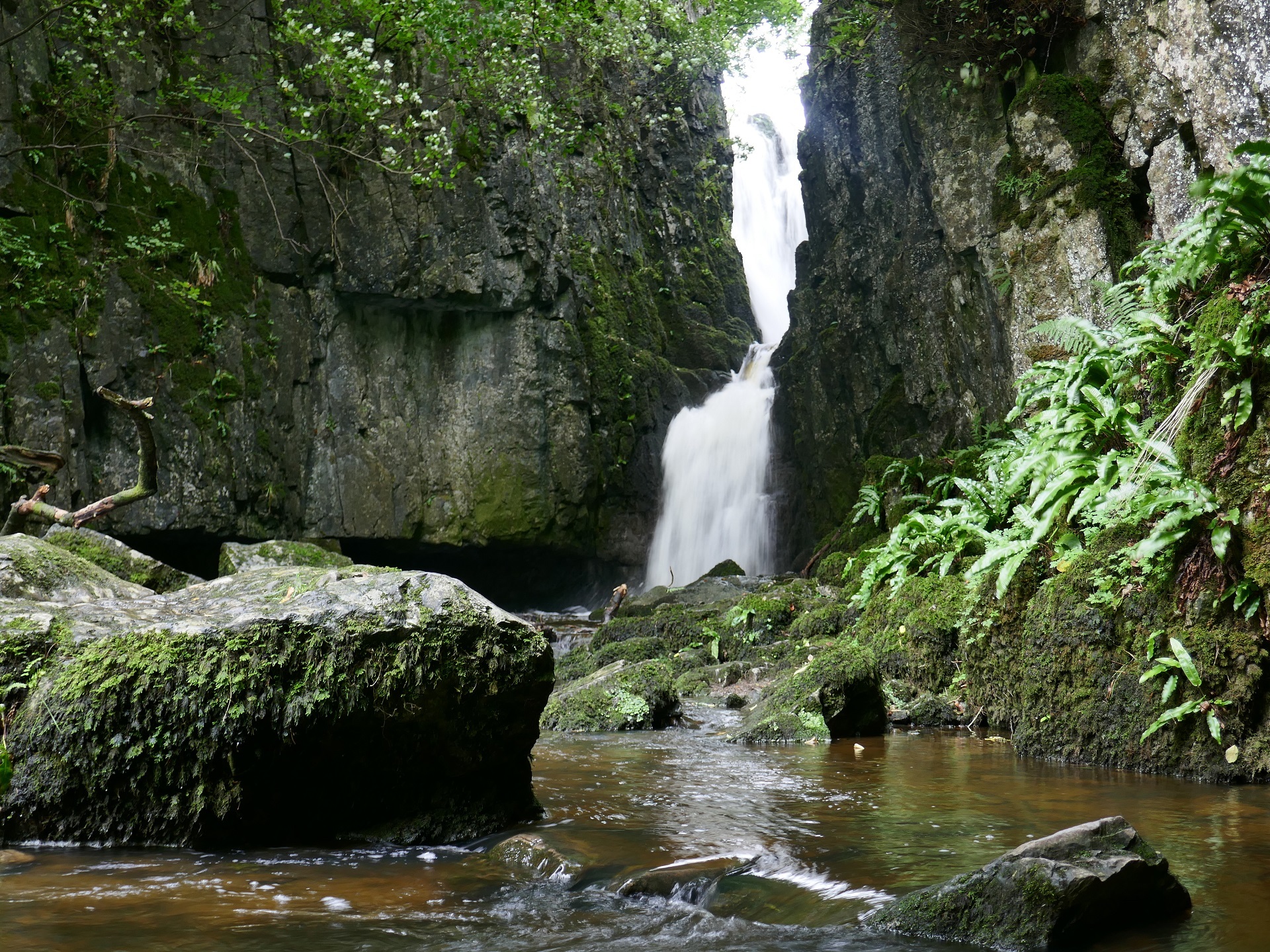 Walk to Catrigg Force & Attermire Scar