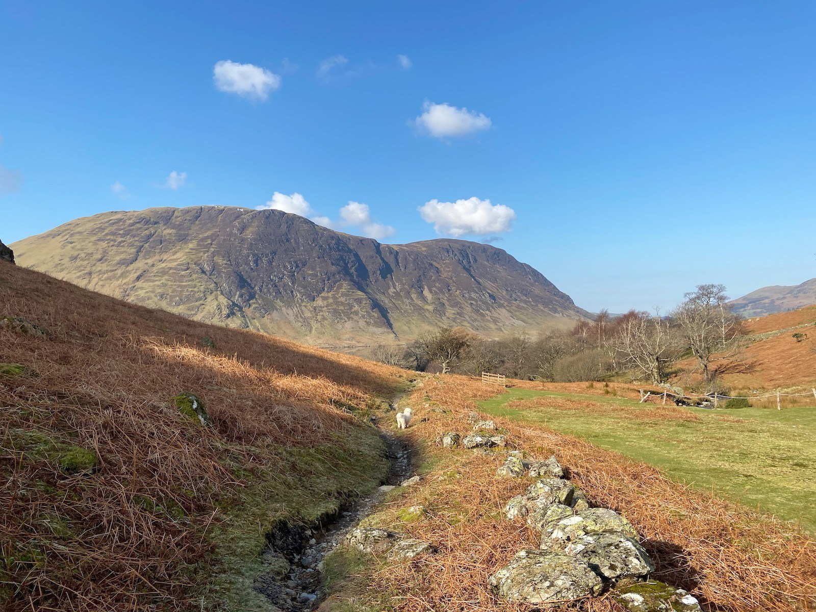 Wak up Rannerdale Knotts from Buttermere