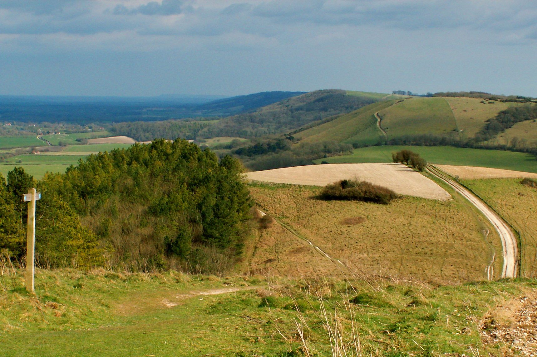 Walking in the South Downs National Park Mud and Routes