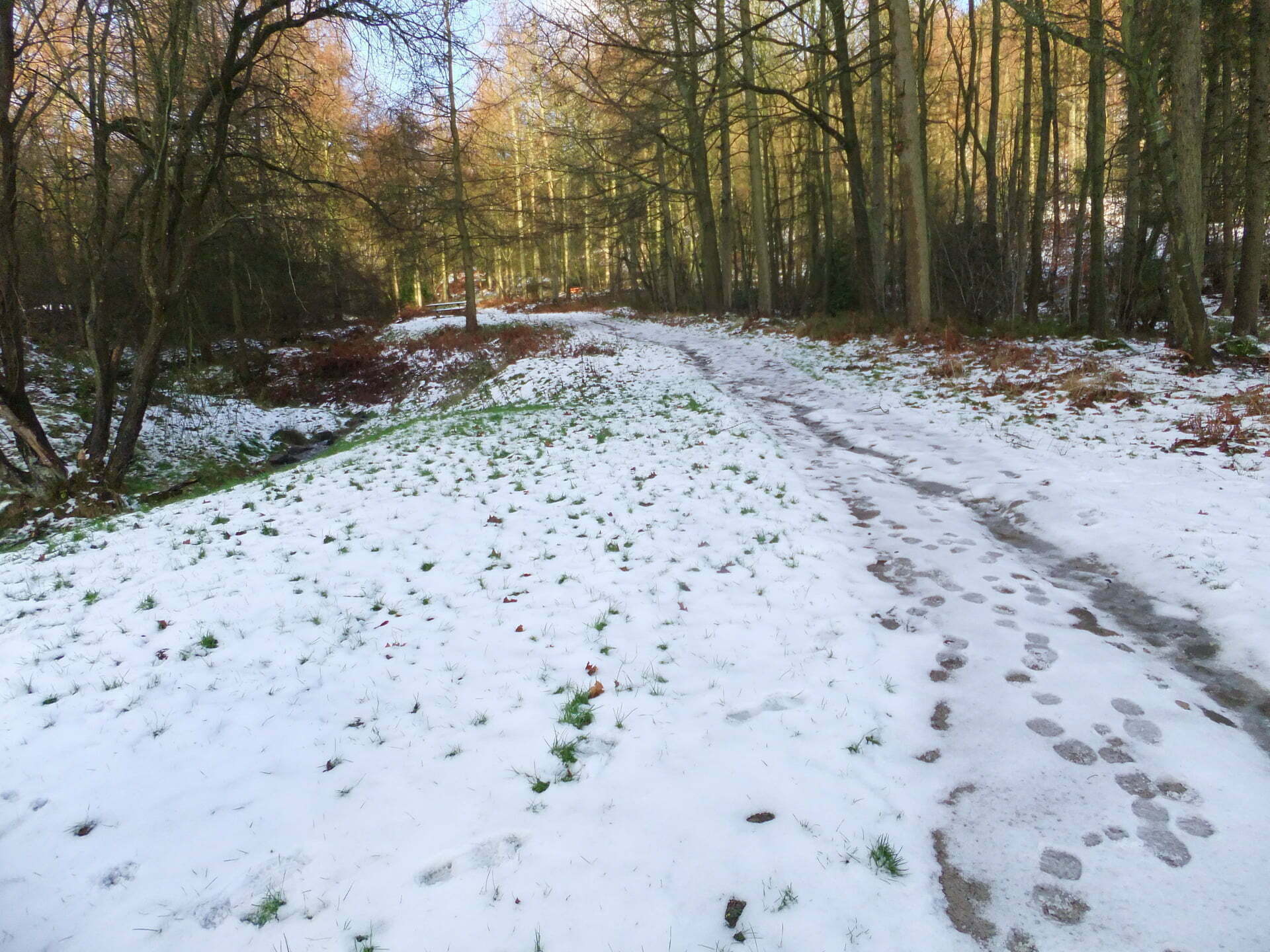 Moel Famau Walk from Moel Famau Car Park Mud and Routes